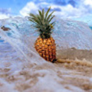 Meet your Posher, Isabella